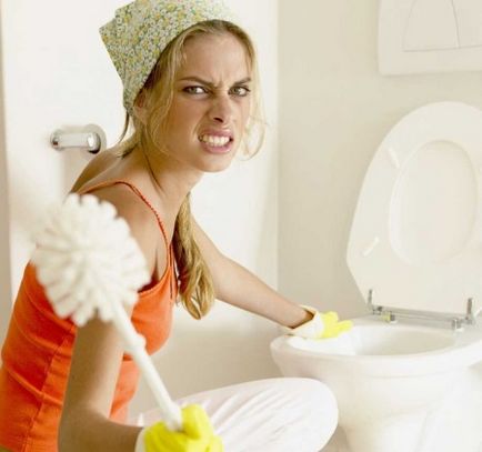 Cum să curățați vasul de toaletă din piatra urinară și să-l îndepărtați, calea de spălare și îndepărtare