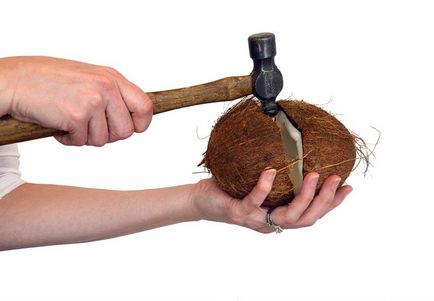 Як відкрити кокос в домашніх умовах відкриваємо кокосовий горіх
