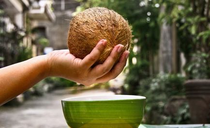 Як відкрити кокос в домашніх умовах відкриваємо кокосовий горіх