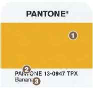 Cum se utilizează ghidurile de culoare pantone