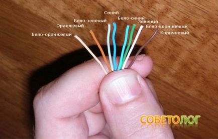 Як правильно обжимати мережевий кабель або виту пару »комп'ютер» поради »совєтолог