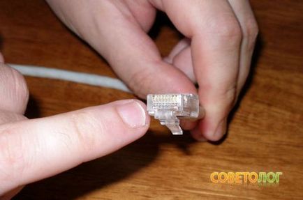 Cum să strângeți în mod corespunzător un cablu de rețea sau o pereche de fire răsucite »computer» sfaturi »Sovietologist