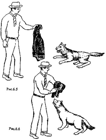 Cum să respingem în mod corespunzător un atac de câine