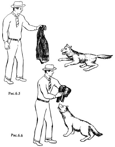 Cum să reflectăm corect atacul câinilor - un portal