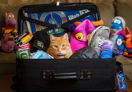 Cum să aruncați lucrurile într-o valiză - cum să compacți lucrurile într-o valiză