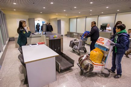 Cum functioneaza vama in Domodedovo, stiri de fotografie