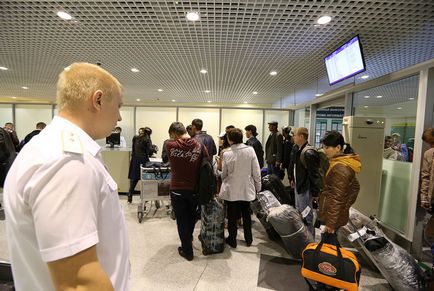 Cum functioneaza vama in Domodedovo, stiri de fotografie