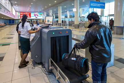 Cum functioneaza vama in Domodedovo, stiri de fotografie