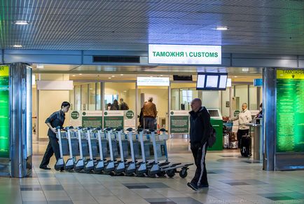 Cum functioneaza vama in Domodedovo, stiri de fotografie