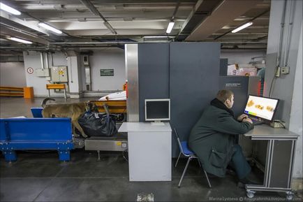 Cum functioneaza vama in Domodedovo - stiri in fotografii