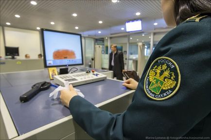 Cum functioneaza vama in Domodedovo - stiri in fotografii