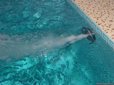 Cum sa faci o piscina cu mainile tale 1 februarie 2014 - casa si site-ul cu mainile tale