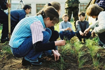 Cum de a deveni un voluntar greenpeace - nu-mi pasă