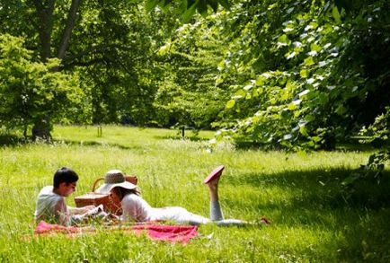 Cum de a aranja un picnic romantic - cuplul perfect