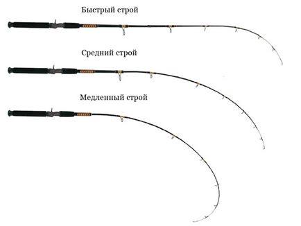 Як вибрати фідер