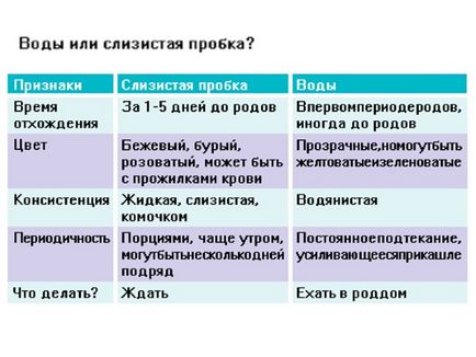 Як виглядає слизова пробка у вагітних перед пологами