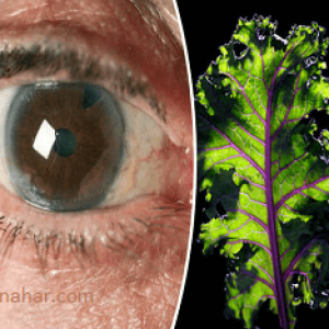 Как да се лекува с глаукома народни средства