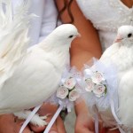 Katalógus esküvői szertartások, rituálék és ceremóniák - Wedding Agency - Karib gyöngy (ünnepségek) Katalógus esküvői szertartások, rituálék és ceremóniák - Wedding Agency - Karib-gyöngy