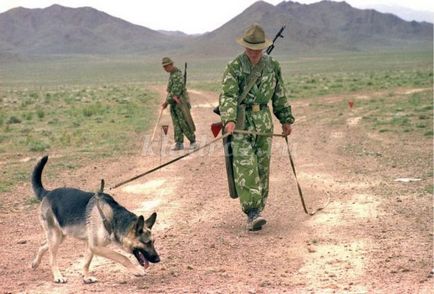 O oră de clasă este un câine - un prieten al persoanei, clasa a 4-a