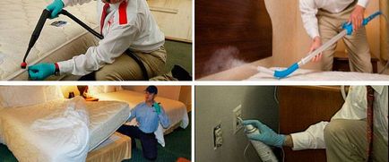 Bedbugs în apartament sunt motivele pentru aspectul și mijloace eficiente