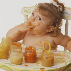 Коли і як вводити прикорм і небезпека раннього прикорму