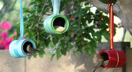 Feeder Madár kezével, stroysovet