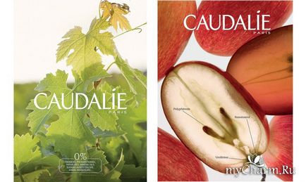 Крем-сорбет-щербет від caudalie