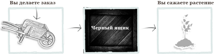 Купити насіння огірок алекс f1 5 шт