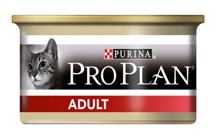 Cumpărați un magazin pro plan (proplan) uscat și umed pentru pisici și câini la prețuri mici la Moscova -