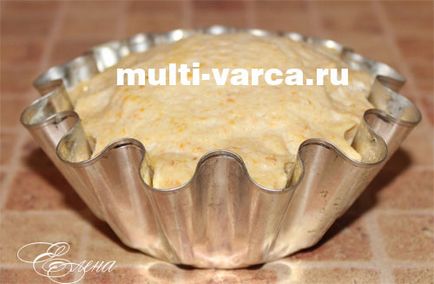 Sufle de pui cu morcovi pentru un cuplu într-o multivarcă