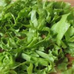 Norme de însămânțare a salatei pentru plantare, îngrijire și cultivare