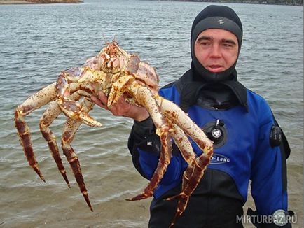 Crab captura în tabere de camping