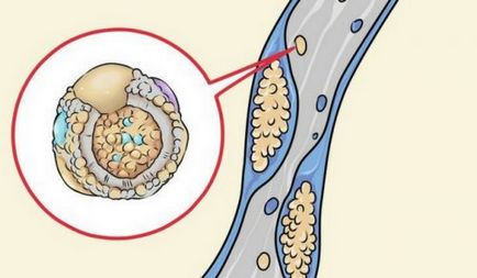 Cele mai bune retete de deodorante naturale - un pas spre sanatate