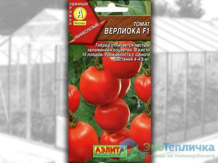 Кращі сорти і гібриди помідорів для білорусі для теплиць