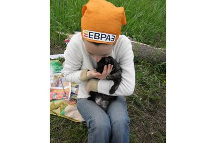 Люди часом гірше тварин »- волонтер товариства« кіт і пес »