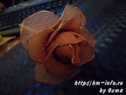 Mesterkurzus hogyan lehet egy rózsa ki a harisnya