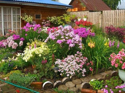 Багаторічні квіти і рослини для дачі та саду