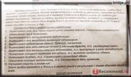 Народний засіб тибетський молочний гриб - «кефір тепер смачніше і корисніше! хочете додаткових