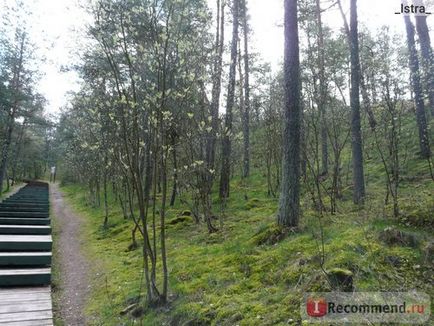 Національний парк куршская коса - «самостійно на Куршськую косу