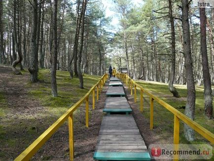 Національний парк куршская коса - «самостійно на Куршськую косу