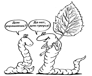 Чи не копати! Нові ідеї в землекористуванні на шести сотках