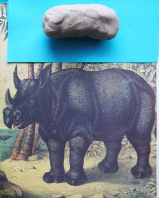 Rhinoceros rinocer