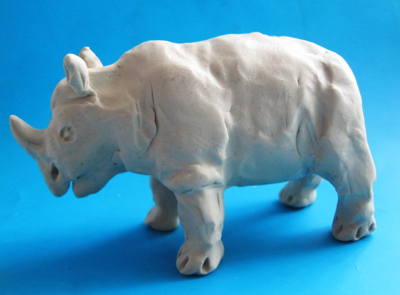 Rhinoceros rinocer