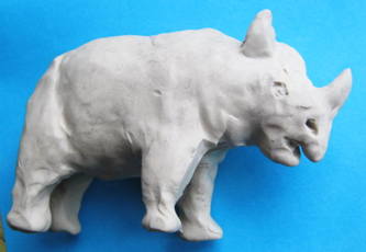 Rhinoceros rinocer