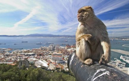 Am nevoie de o viză pentru gibraltar pentru ruși?