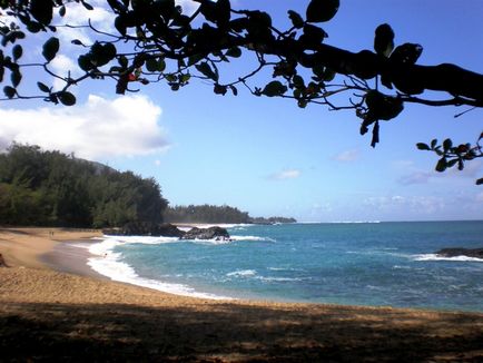Про екстремальний гавайському пригоді, або навіщо ризикувати, сайт єлизавети Бабанова