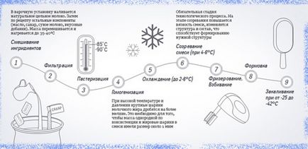 Організація виробництва морозива - смачний бізнес із сезонною прибутком, технологія і розрахунки