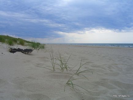 Feedback privind o excursie independentă la Curtonian Spit