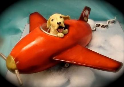 Transportul câinilor de către companiile aeriene ale companiei aeriene 