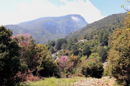 Prima călătorie în Grecia paralia katerini, athens, delphi, litochoro, olympus